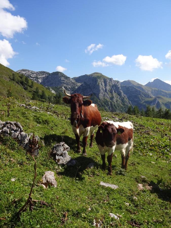 Malterlehen-berchtesgaden * Berchtesgaden
