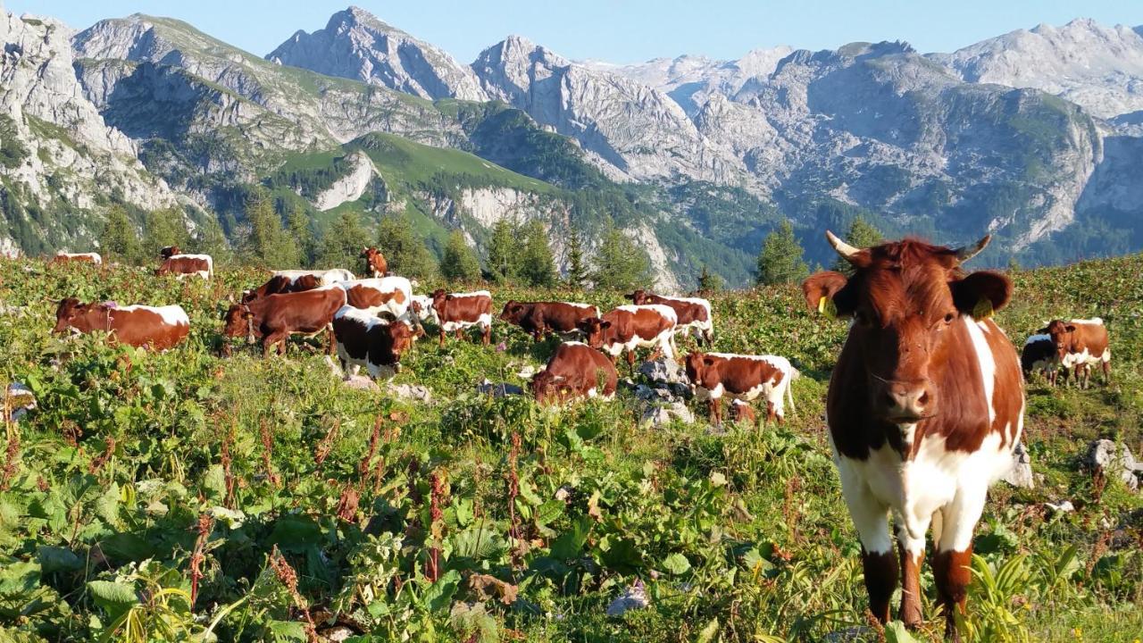 Malterlehen-berchtesgaden *